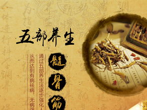 融合中醫養生文化，打造專業展板設計——高清PSD模板助力企業健康服務推廣